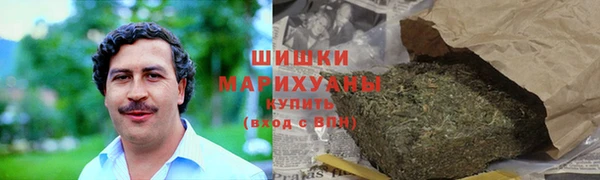 прущие грибы Аркадак
