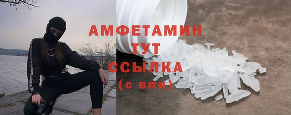 прущие грибы Аркадак
