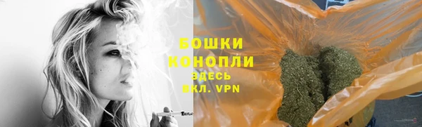 прущие грибы Аркадак