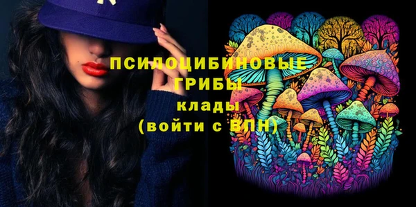 прущие грибы Аркадак