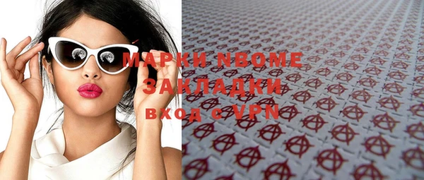 прущие грибы Аркадак