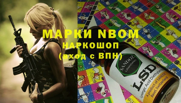 прущие грибы Аркадак