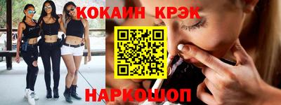 шишки Новодвинск