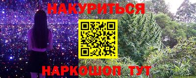 шишки Новодвинск