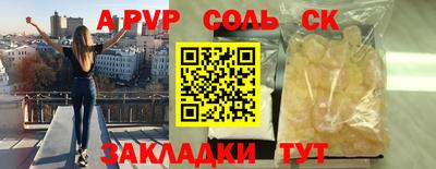 шишки Новодвинск