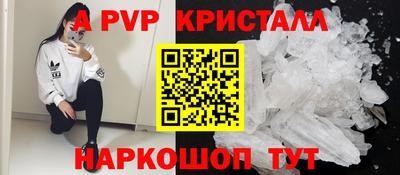 шишки Новодвинск