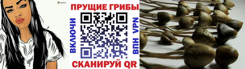 Псилоцибиновые грибы ЛСД OMG ONION Аша