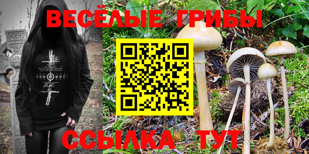 где купить наркоту  Вход с VPN  Аша  Псилоцибиновые грибы Magic Shrooms 